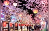 春光为引，徐州“春日经济”的破局与深耕