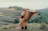 《纽约客》丨何伟：中国与乡村关系的变迁