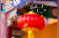 一光一影是千年！15个镜头定格正觉寺庄严气象丨厦门云游寺院摄影展