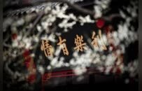 康熙笔下的“春光共郁葱”，在昭觉寺苏醒了丨厦门云游寺院摄影展