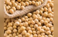 “黑土优品”又来啦！4 月 3 日羊城启幕！黑龙江携千亿级农业品牌集群赴穗招商