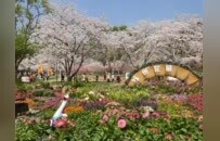 6天超1200万人次，苏州如何打造春假“引力场”？