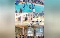 酒店预订率近满，徐州经开区假期文旅消费旺