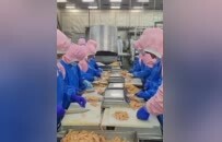 校企八年深度合作，融通创新链与产业链的“南农样板”