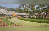 6天超1200万人次，苏州如何打造春假“引力场”？