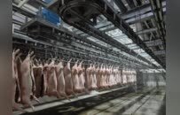 校企八年深度合作，融通创新链与产业链的“南农样板”