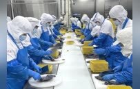 校企八年深度合作，融通创新链与产业链的“南农样板”