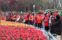 聊城高新区举办长者春日游园活动 温情守护银龄乐享春光