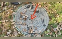 1岁幼童在湿地公园玩耍坠入窨井，管理方：愿商讨赔偿