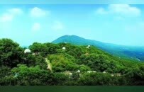 1368万人次、171.82亿元！南京“五一”文旅的“顶流”答卷