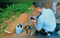 “针织大王”孙女被绑架细节曝光：被囚山洞4天，绑匪拿到2800万后逃跑