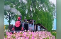 徐州农场，正在“卷”出新花样