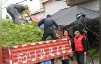 蒜薹丰产难丰收！徐州睢宁双线模式重塑农业利益链条