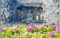 豫荐城市| 古都不“古”，洛阳正“潮”！这座城，值得你来一万次