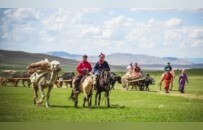 赓续万里茶道，共启草原新程：蒙古获评文旅品牌国际论坛“臻选海外旅游目的地”