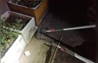 菜花、银环、眼镜蛇……九江多地蛇出没！蛇毒咬伤自救指南收好