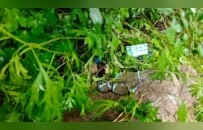 探访山西公交侧翻现场：位于急弯路段，车辆扎进山沟，现场遗留有航模、眼镜等