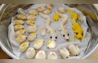 睢宁高作：从明末走来的六百年非遗“面兔”