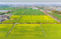 聚焦“农业+”，这场省级会议为何落地宜兴？