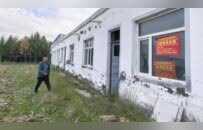 一个因煤矿改变命运的村社：120户中有14户房屋开裂，举债种植的数百亩松树遭水淹
