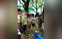 荷花开了，姑苏古城的夏天就来了