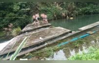 遂川首单防溺水举报奖励兑现！6名孩子野泳，热心群众劝阻无效后报警