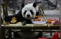 青春赴山海，栾川正当时！2026毕业季专属福利来袭~