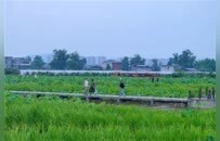 “国际湿地城市”这块牌子，梁平怎么扛？