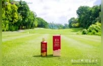 酱香润绿茵，挥杆遇知音｜茅台1935倾情助力鹏城高球精英盛会