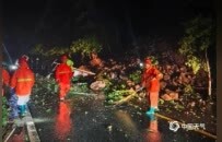 靖安遭遇强降雨 多个乡镇出现山体塌方、树木倒伏等灾情