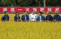 国家科技进步奖丁艳锋教授团队：二十年稻田坚守，为一碗中国好饭