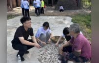 郑州科技学院“三下乡”：发挥电气专业优势 守护乡村用电安全