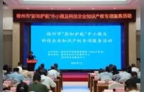 消解中小微企业阻梗？徐州“彭知护航”服务锚定科创长期布局