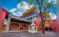 青海佛子千里送暖！西宁宏觉寺与青海因明学会向广西灾区捐款十万元