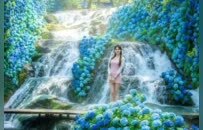 豫荐城市 | 栾川消夏游玩最新最全线路合集！