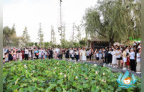 水城淮阳 “荷”你有约  第五届周口荷花节暨文旅消费季盛大启幕