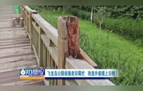 赣州飞龙岛公园设施老旧霉烂 存在安全隐患、拉低公园整体颜值