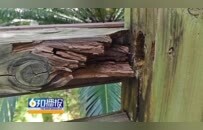 赣州飞龙岛公园设施老旧霉烂 存在安全隐患、拉低公园整体颜值
