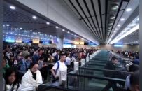 珠海口岸上半年出入境客流破1.19亿人次 大湾区跨境流动持续升温