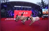 第23届徐州彭祖伏羊节火热开幕