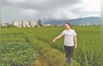 江西新大众文艺群体观察：从生活里来，到人心里去
