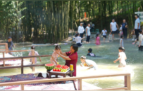 康养一夏・自在梁平｜湿地、森林、田园齐上阵！承包你的盛夏治愈之旅