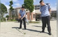 眼镜蛇深夜闯民宅、竹叶青盘踞操场边，遂川公安接连上演“捕蛇记”