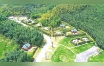 康养一夏・自在梁平｜湿地、森林、田园齐上阵！承包你的盛夏治愈之旅