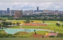 南昌：花海铺展 园景渐成（图）