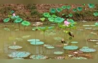 人文休闲新地标！九江濂溪公园焕新归来（图）