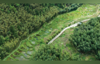 深耕“湿地润城”雕琢城乡品质 梁平区跻身市级美丽城市建设培育区县