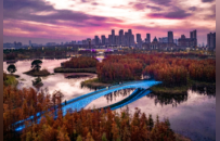 如何把湿地嵌入城市肌理？解开藏在南昌城里的湿地密码