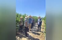 中国农科院专家到商丘市老科协民权基地考察指导工作