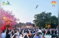 “浪游三亚·梦回洛阳”双城联动活动圆满收官 六大精品主题线路精准发布